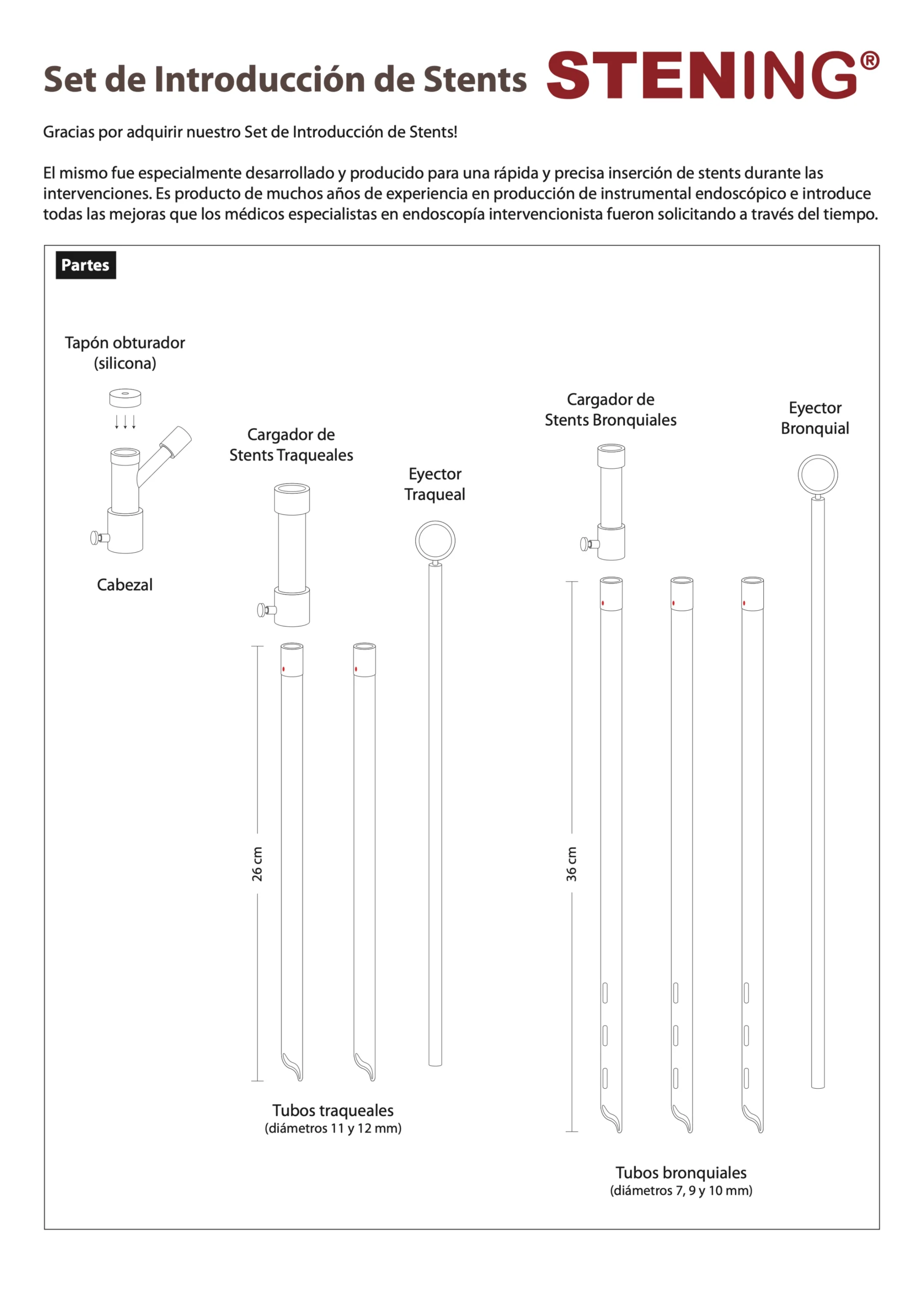 Stening Linea Completa 5
