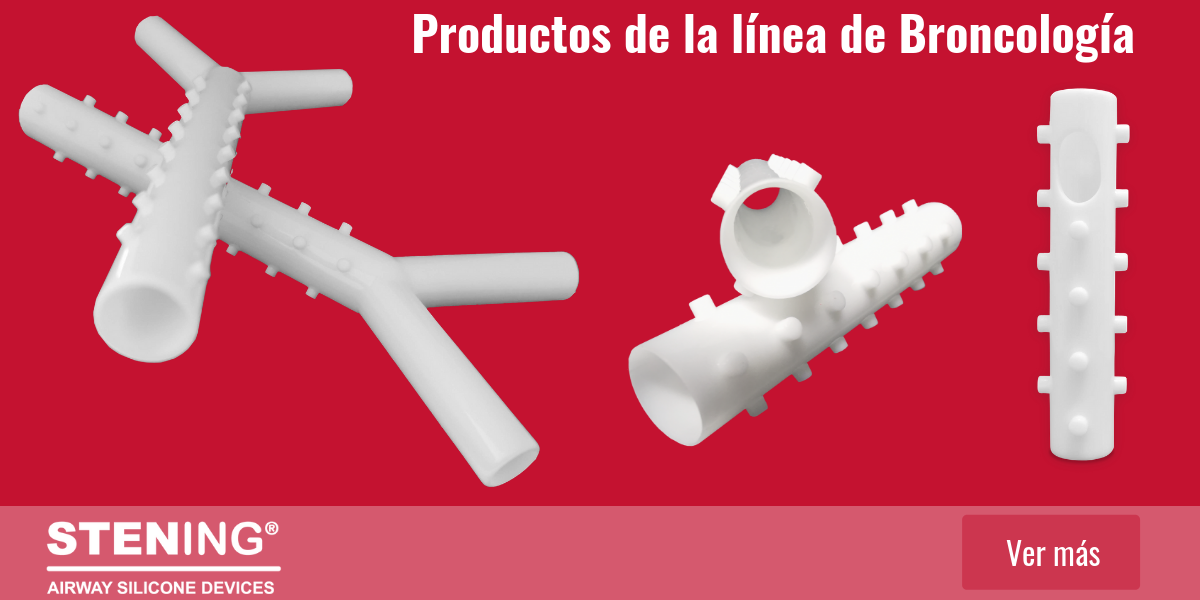 Stening Linea Completa 2